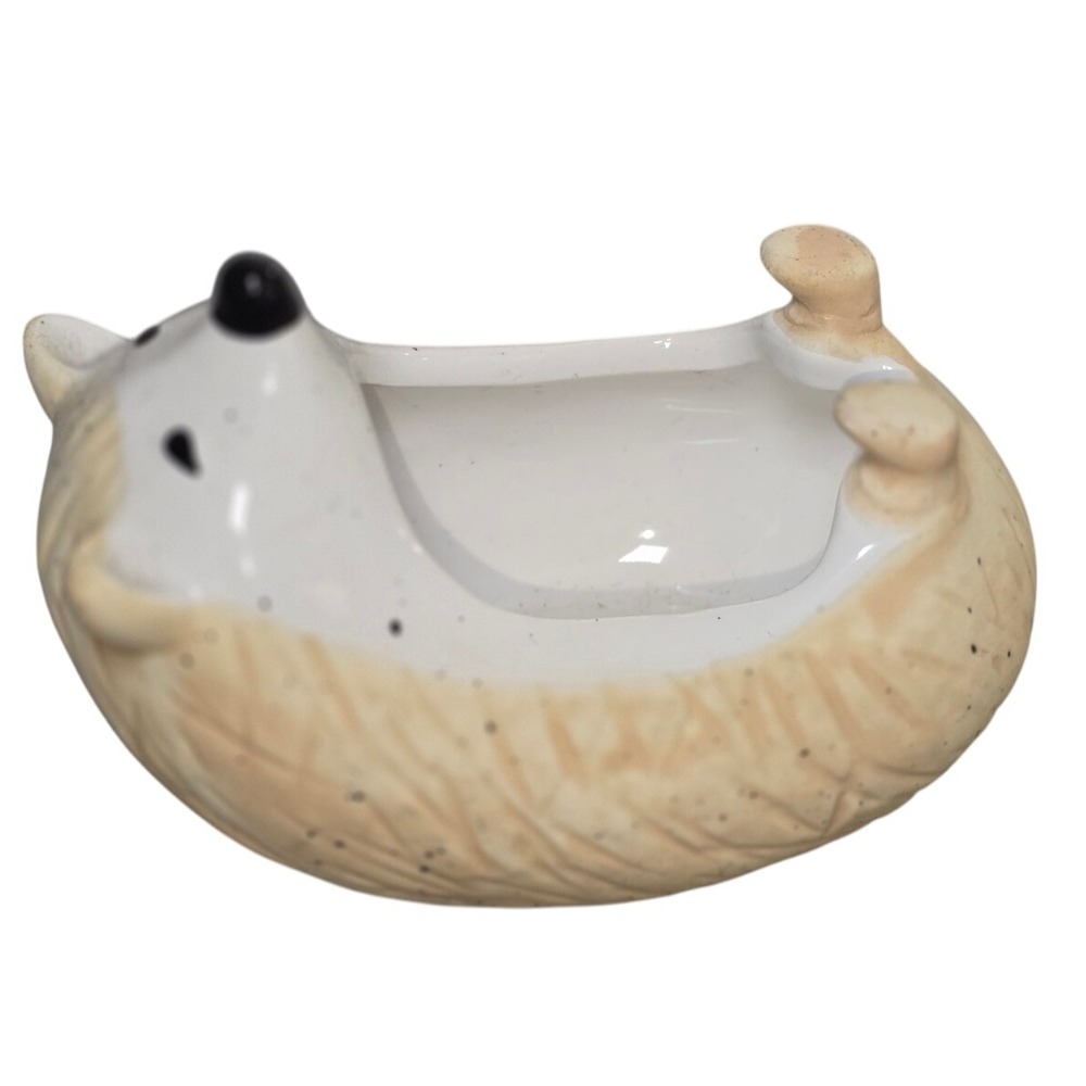 Anthropologie Ceramic Hedgehog Planter Pot Small trinket desk tray misc Decor S